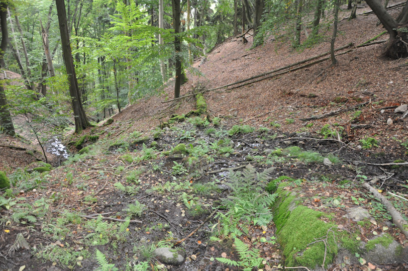 Prameniště na Blatenském svahu (11813)