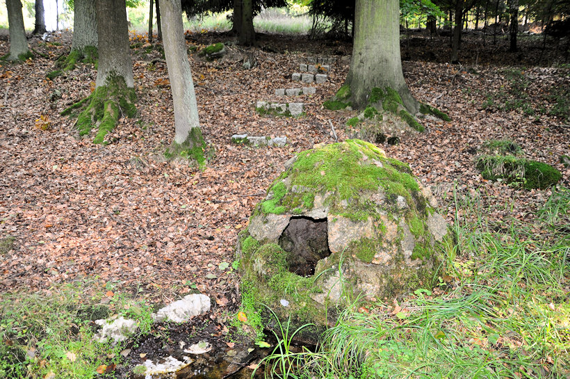 studánka Na Chlapecké louce (11814)
