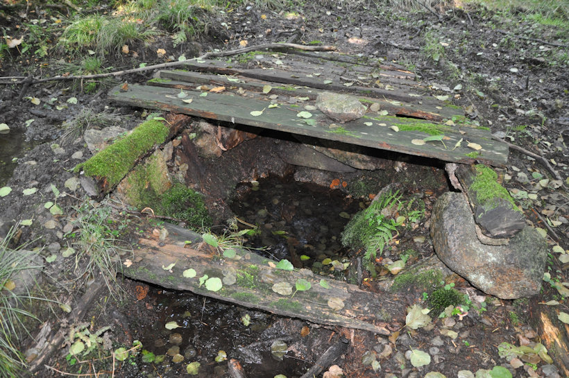 studánka U Tiského potoka (11815)