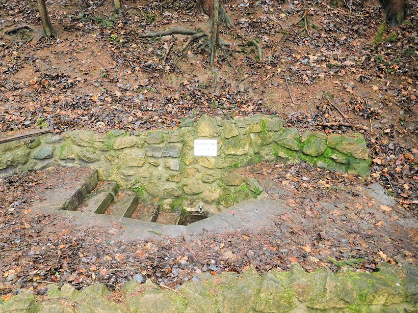 Dvořákova studánka (11823)