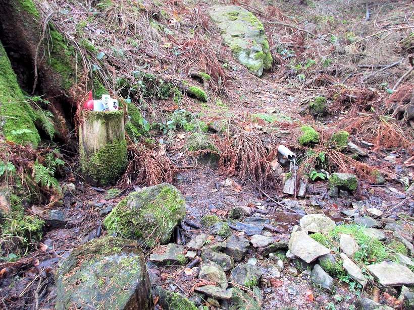 studánka U partyzánského pomníku (11829)