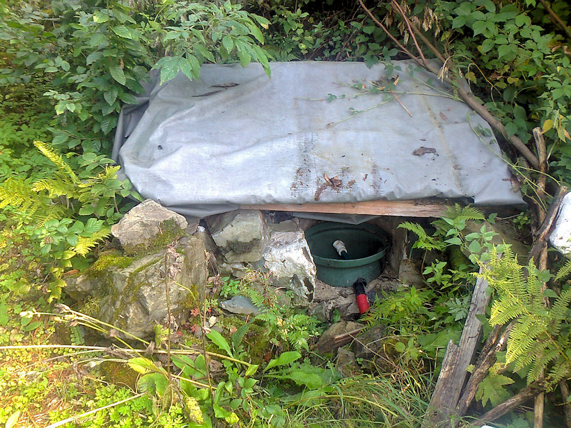 studánka bez jména (11831)