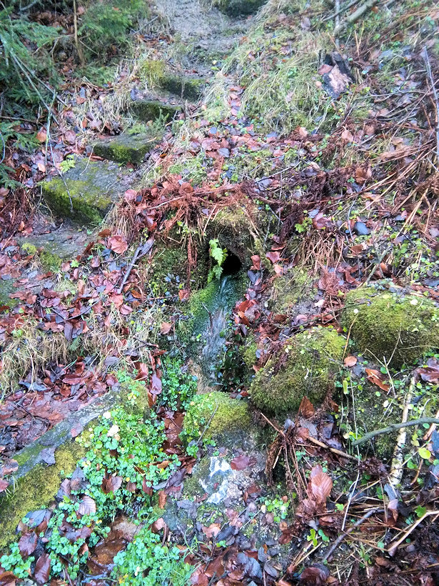 studánka Na Požírně (11834)