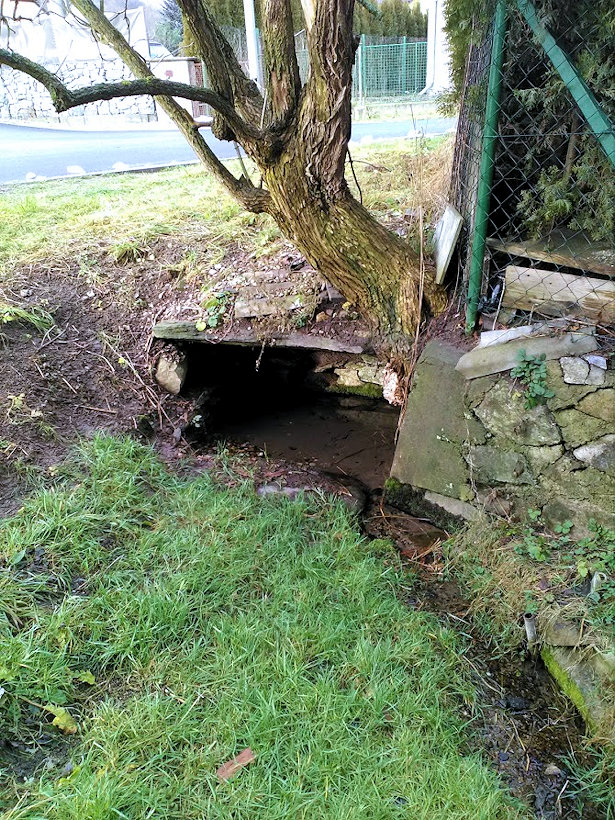 studánka Pod starým bezem (11836)