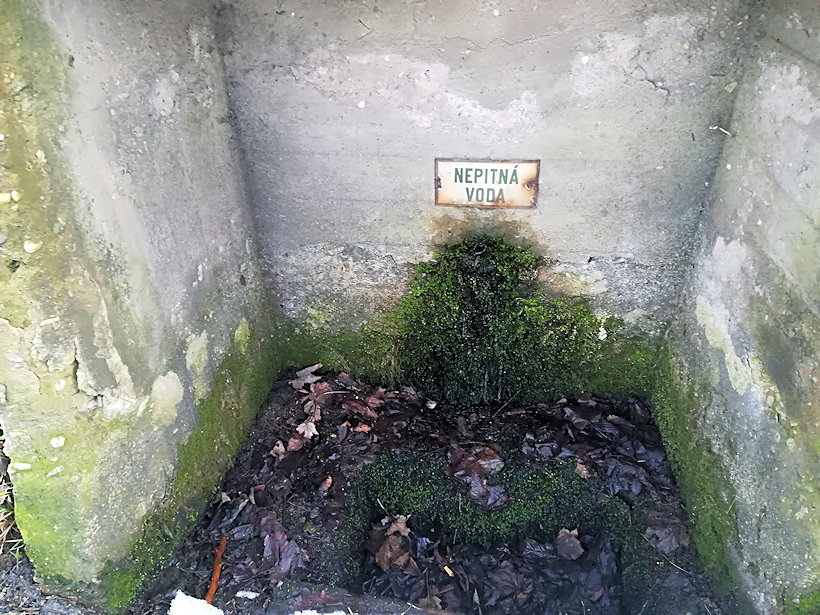 pramen Pod tratí (11845)