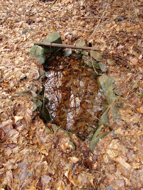 studánka U Ovčárny (11847)