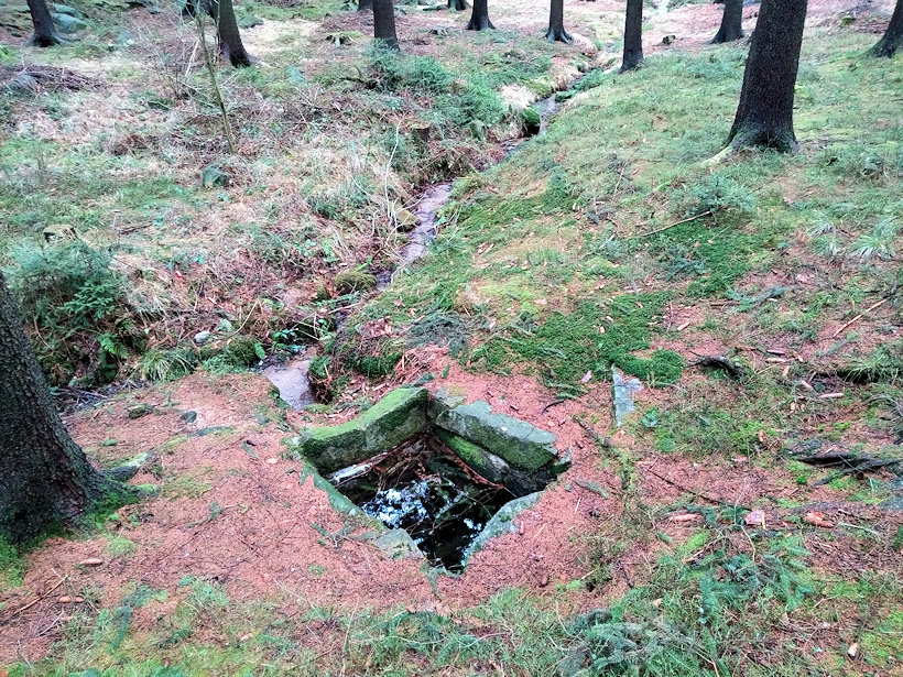 studánka bez jména (11848)