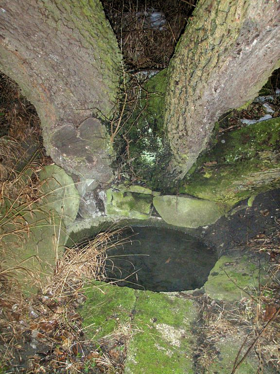 studánka U Břekyně (11851)