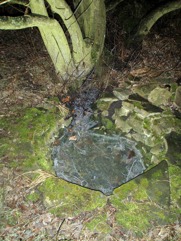studánka Jendova (11852)
