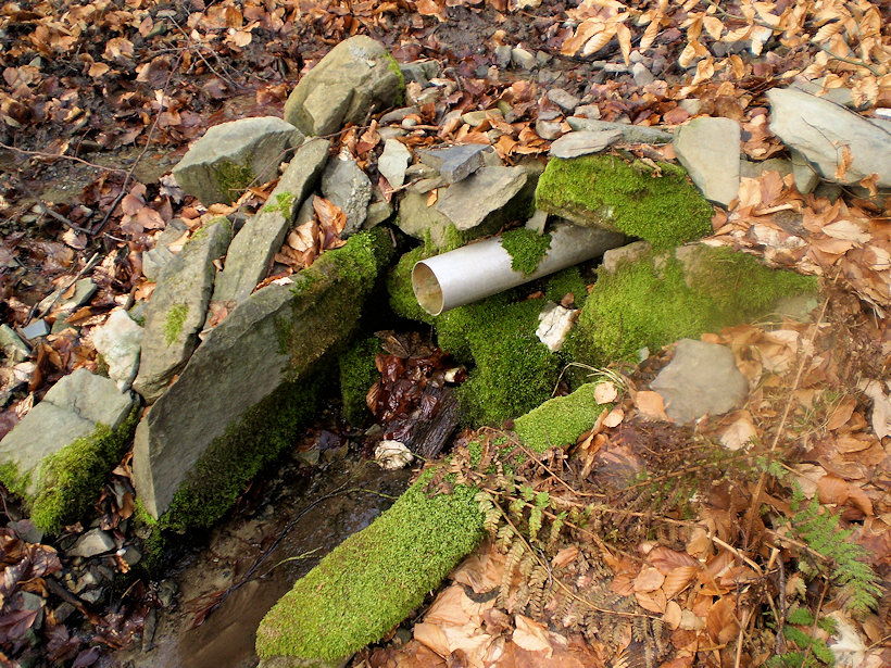 studánka Pramen Šaki (11858)