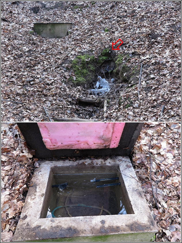 studánka bez jména (11862)