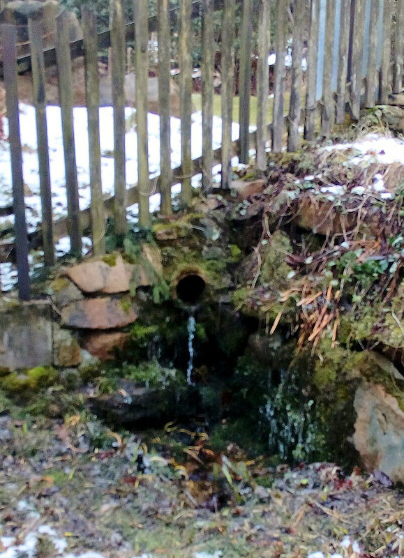 studánka U lávky (11864)