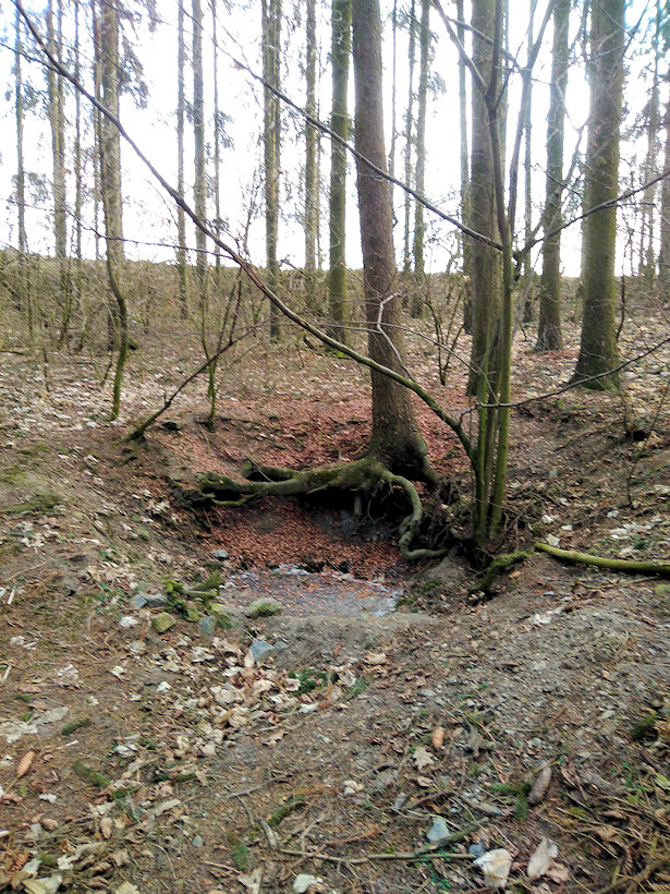 studánka Pod Hamouzem (11875)