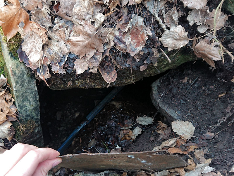 studánka Nad Cementárnou (11880)