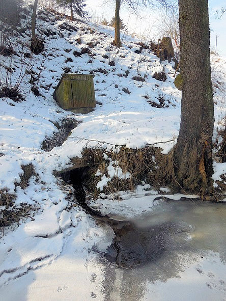Studánka v Bílku (11887)