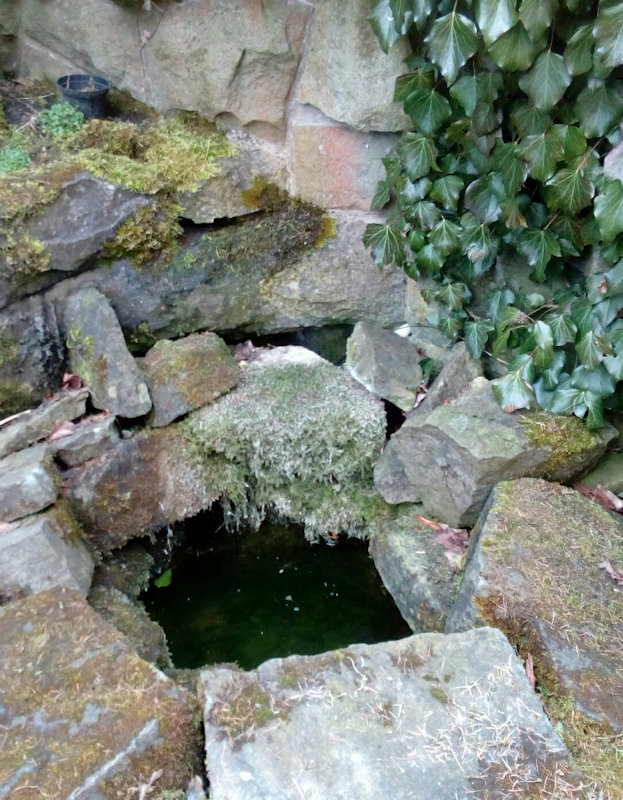 studánka V Alžbětinkách (11890)