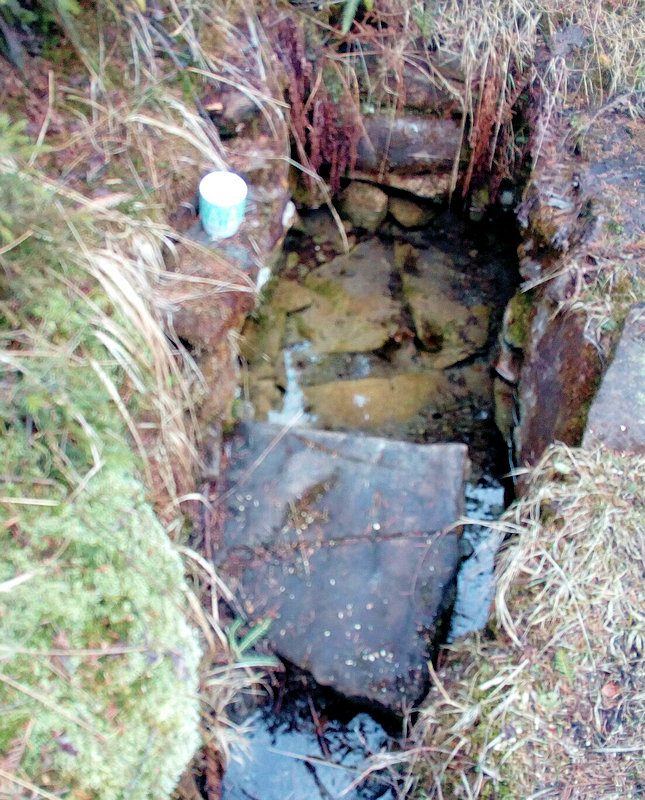 studánka Vrch gora (11893)