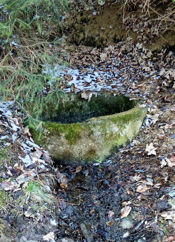 studánka Nad Polankou (11915)