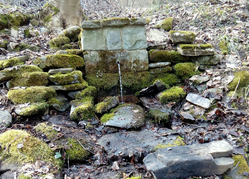 studánka Na Jamě (11921)