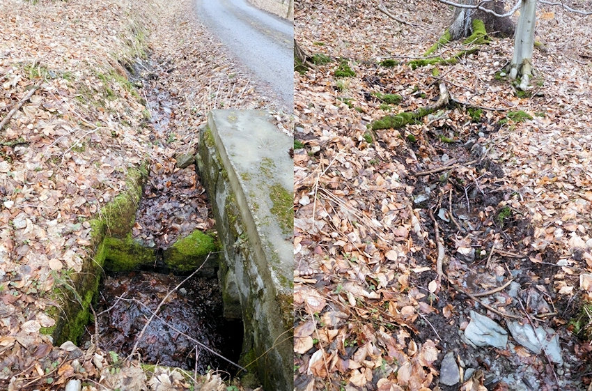 prameniště bez jména (11926)