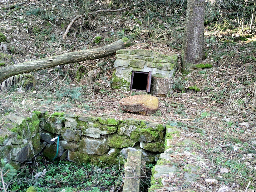 studánka bez jména (11929)