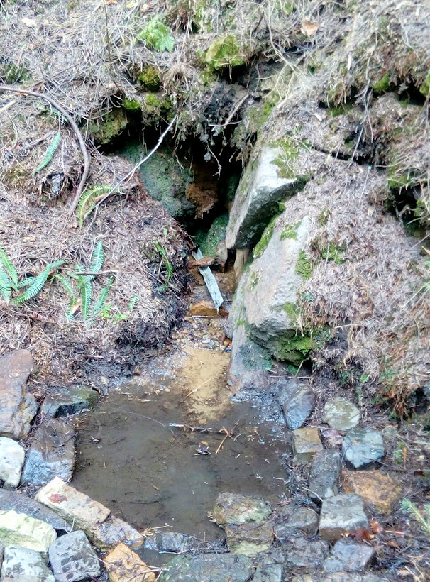 studánka Pod Kurajkou (11948)
