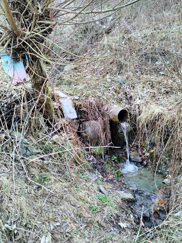 studánka Pod vrbou (11950)