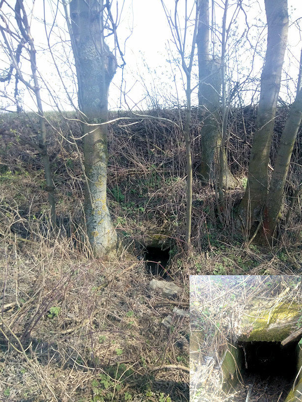 studánka Na dvorském (11954)