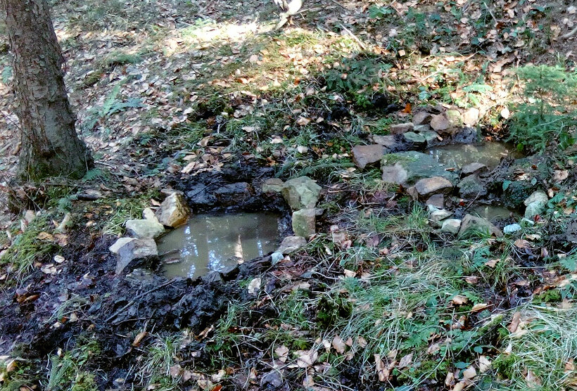 studánka Zálesácká (11963)