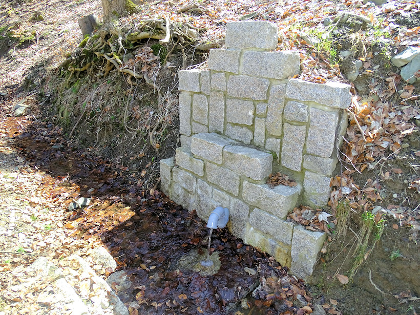 studánka Pod Roimundem (11974)