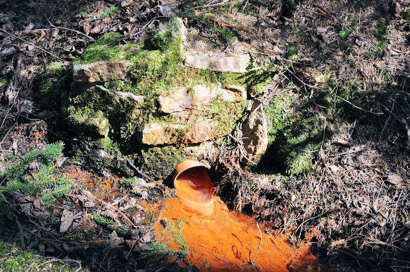 studánka Pod tábořištěm (11980)