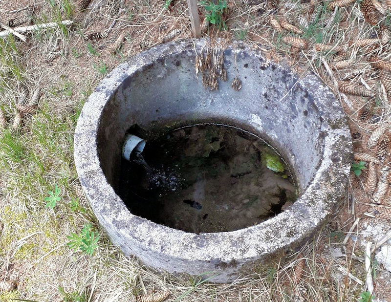 studánka Pod Kravím vrchem (11999)