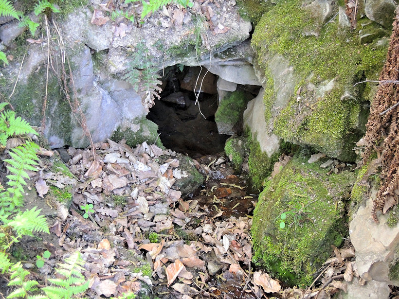 studánka Ve skále (12002)