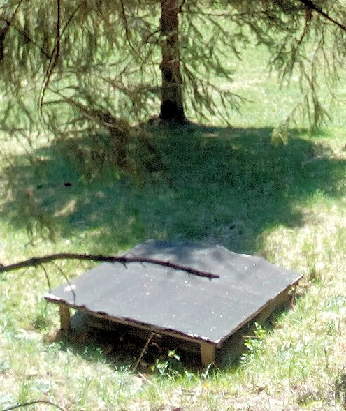 studna Na Tatínkách (12006)