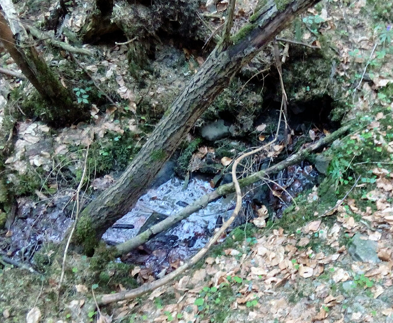 prameniště U Rusňoka (12008)