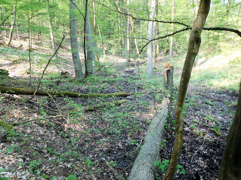 prameniště U Rakovce (12013)