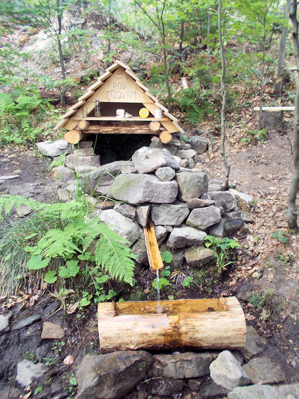 studánka Pod Tisovým (12026)