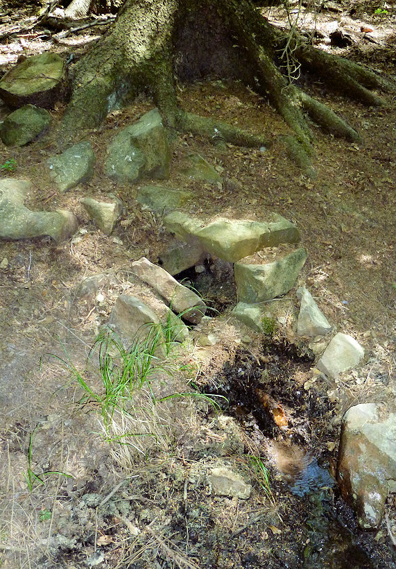 studánka Pod Brdem (12027)