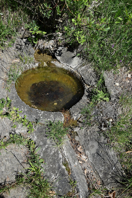 studánka Pod Šibenickým vrchem (12036)