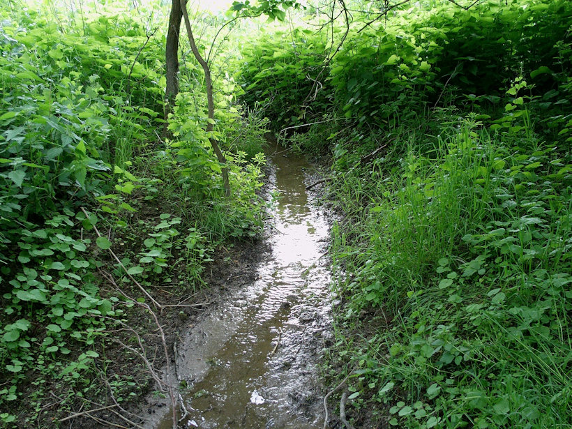 pramen bez jména (12041)