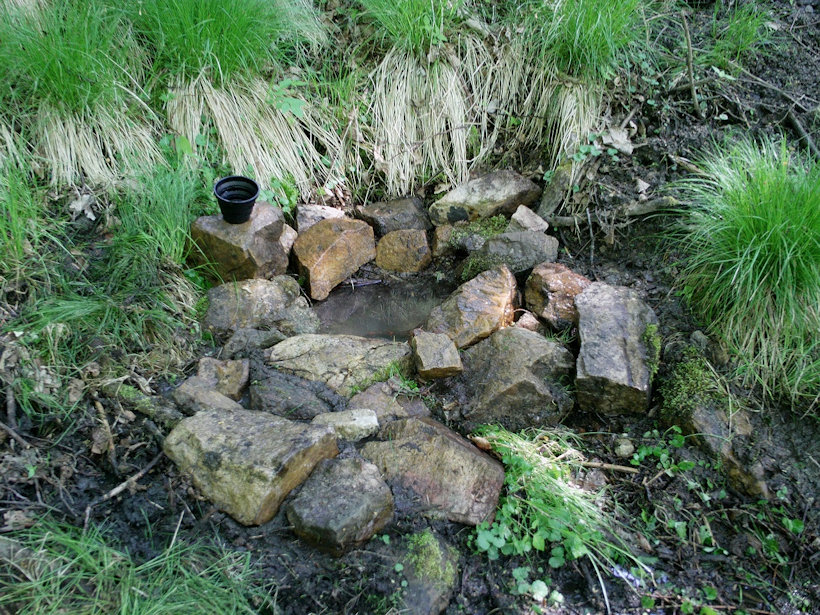 studánka bez jména (12042)