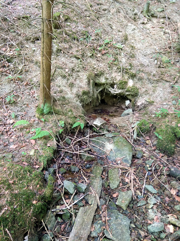 studánka V Jablonském lese 1 (12045)