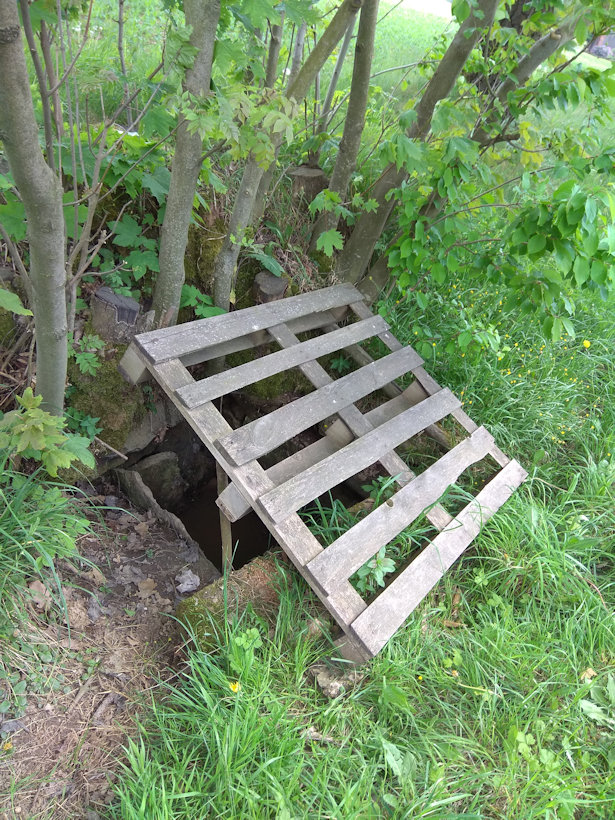 studánka U silnice (12048)