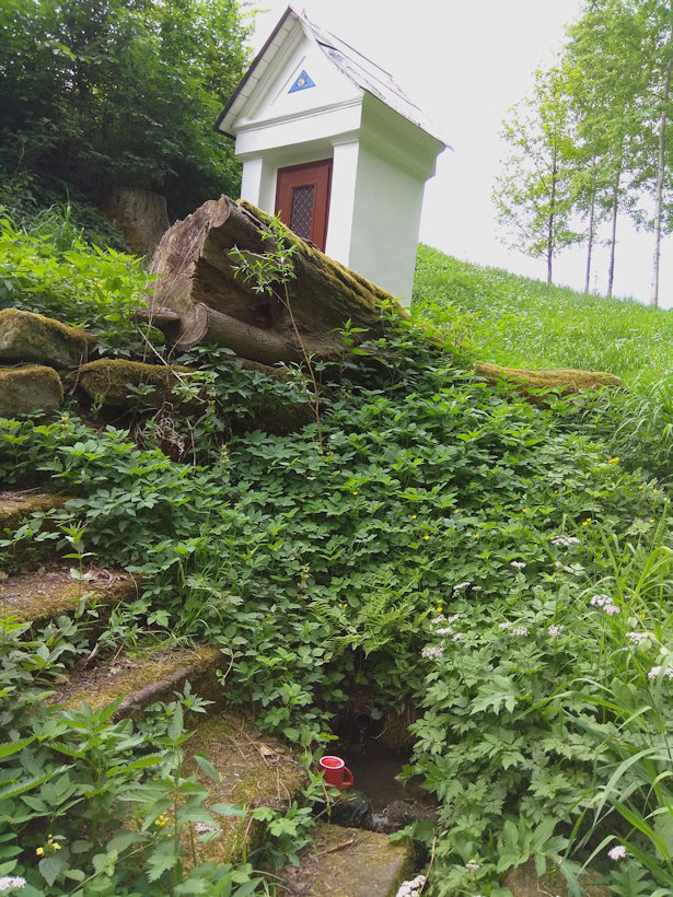 studánka Pod Vejrovskou kapličkou (12050)
