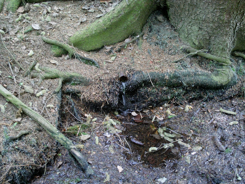 studánka bez jména (12061)