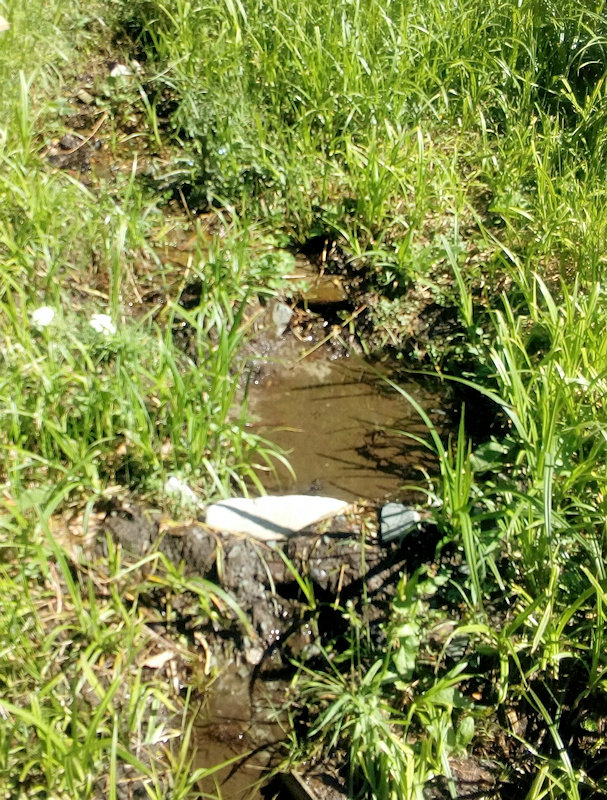 studánka U Martynků (12082)