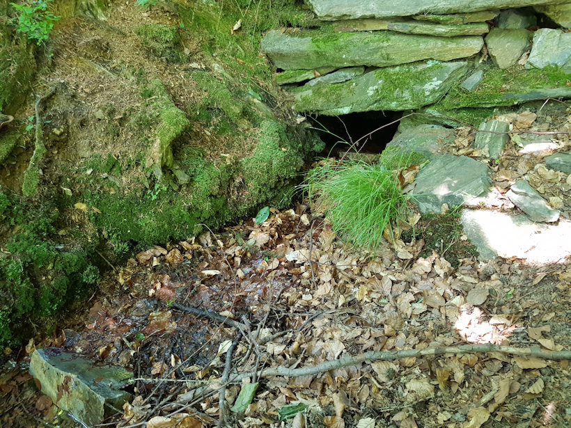 Prdlavá studánka (12105)