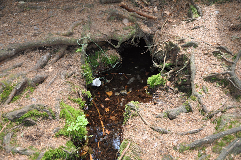 Falešná studánka (12111)