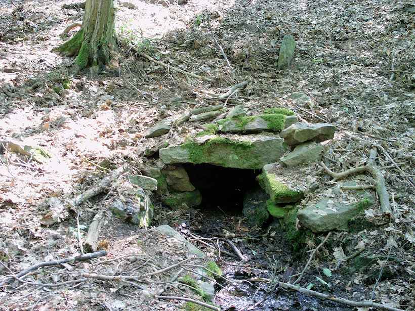 studánka bez jména (12116)