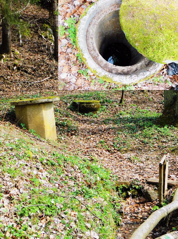 studánka U Jansova mlýna (12126)